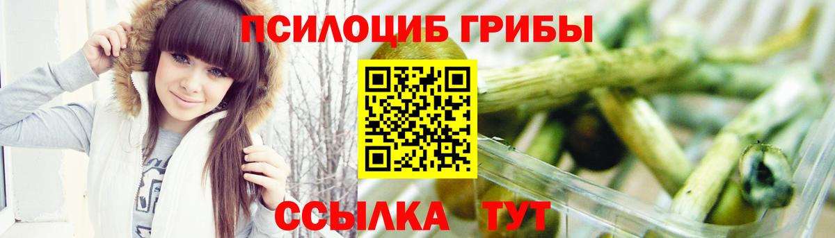 Обь  Галлюциногенные грибы Psilocybine cubensis  Вход с VPN 